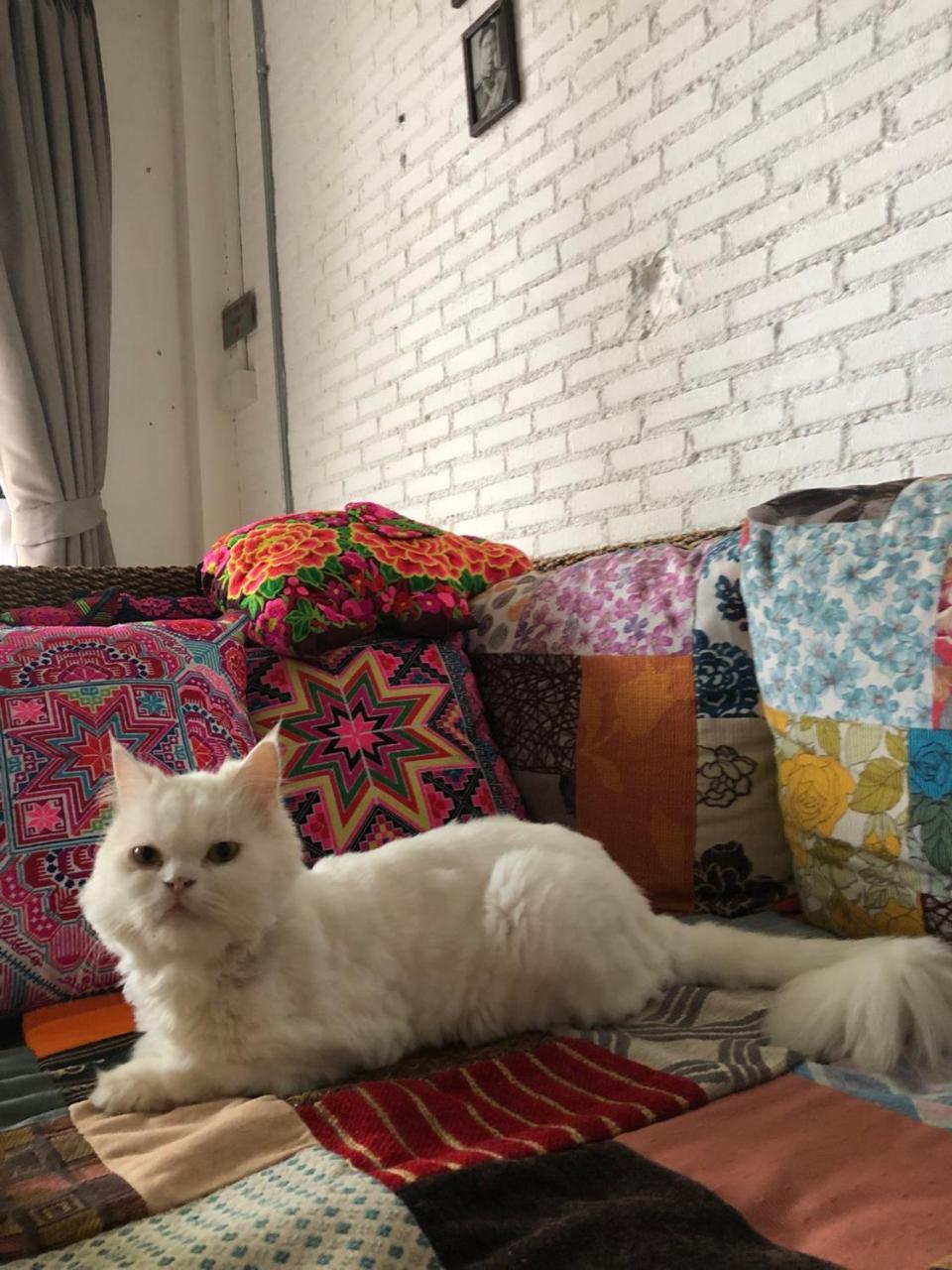 The Home Chiangmai Luxury Guesthouse Csiangmaj Kültér fotó